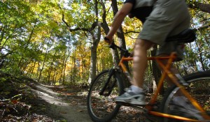 Top 10 Fitness & Fun Challenges