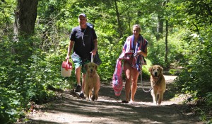 Top 10 Pet-Friendly Stops