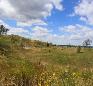 Portage Lakefront Park Dunes