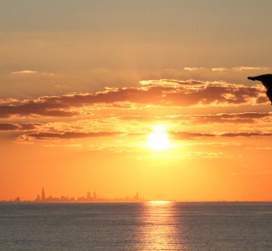 Indiana Dunes Sunset