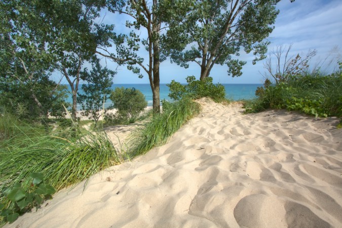 Indiana Dunes State Park