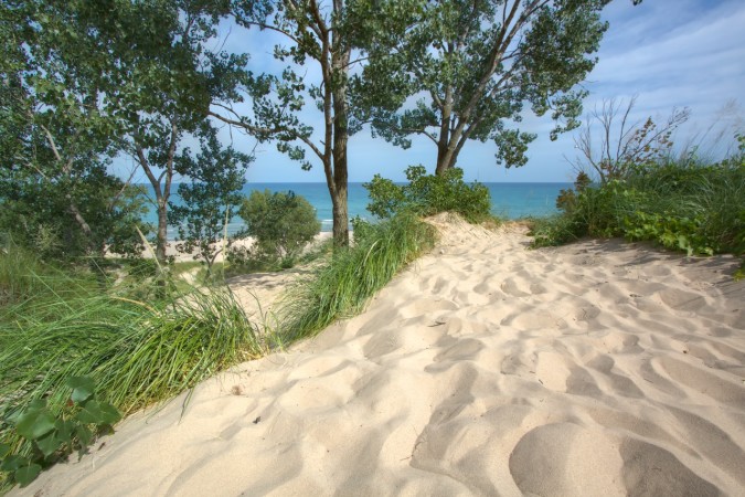 Indiana Dunes State Park Indiana Dunes State Park