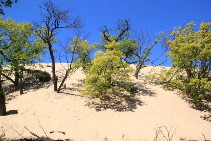 Mount Baldy